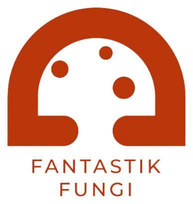 Fantastik Fungi